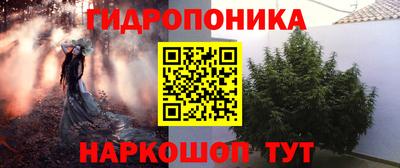 ешки Кингисепп