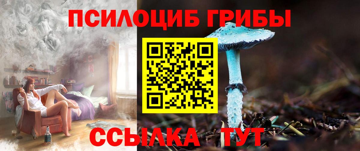 Галлюциногенные грибы прущие грибы Крымск